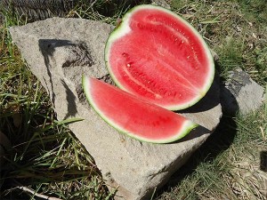Melons-produced-fruit-with-emko-plan-verde